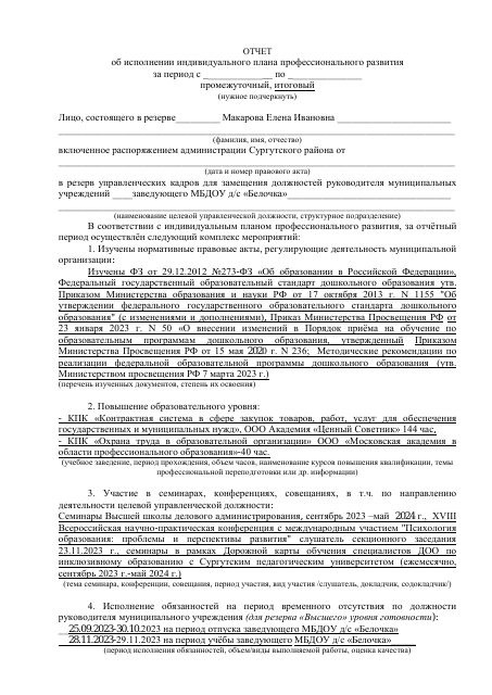 Отчет об исполнении Индивидуальной программы развития